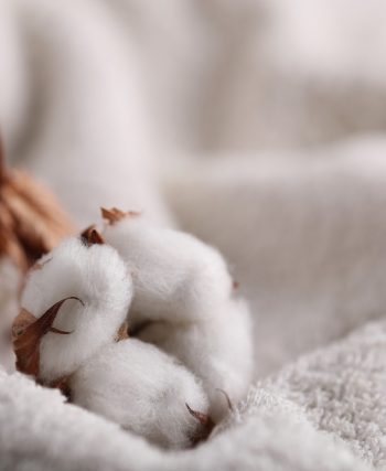 Pourquoi choisir des sous vêtement en coton bio avec des teintures naturelle ?