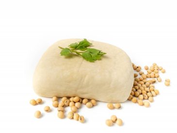 Tofu : un allié santé méconnu à découvrir