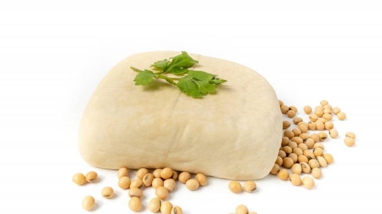 Tofu : un allié santé méconnu à découvrir